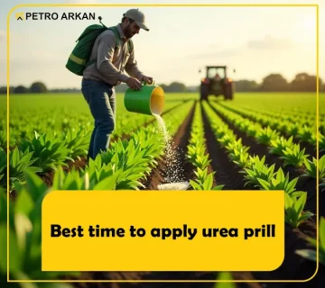 best time to apply urea prill