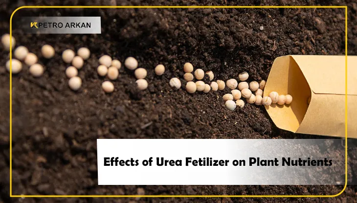 Effects of Urea Fetilizer on Plant Nutrients