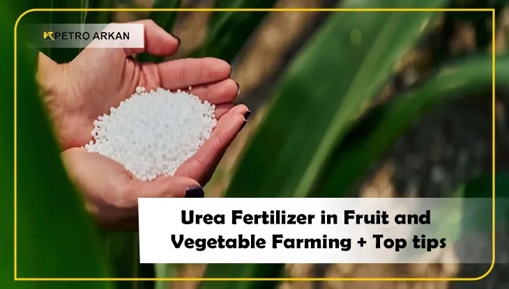Urea fertilizer in fruit and vegetable farming 