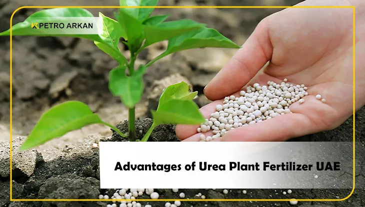 Advantages of Urea Plant Fertilizer UAE