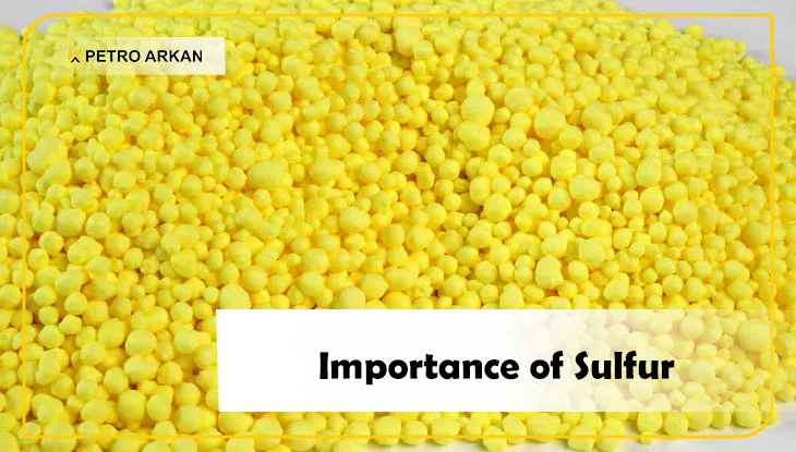 Importance of Sulfur
