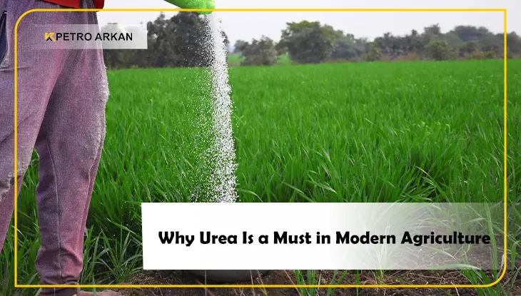 Why Urea Is a Must in Modern Agriculture?