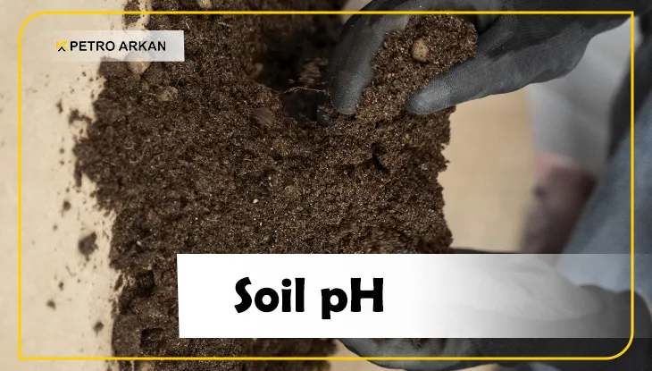 Factors Affecting Nutrient Availability to Plants