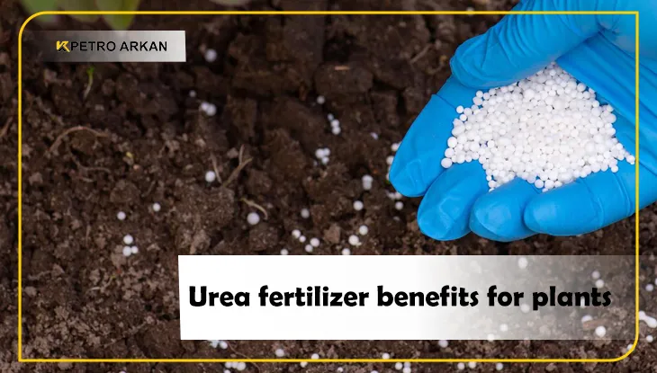 Urea fertilizer benefits for plants
