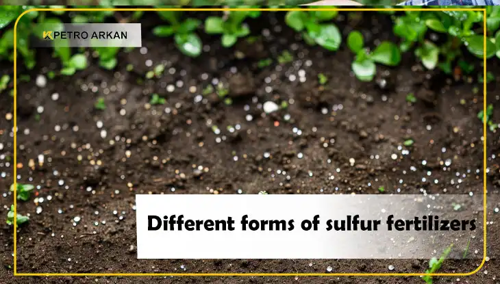 Different forms of sulfur fertilizers