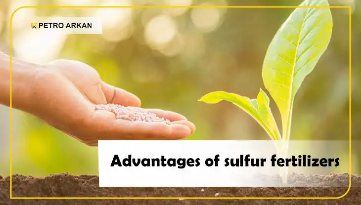 Advantages of sulfur fertilizers