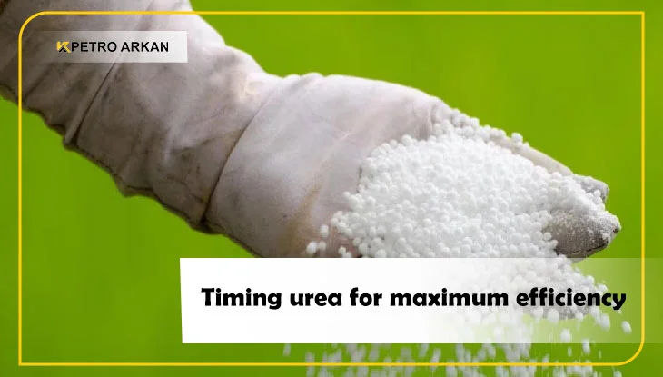 Timing urea for maximum efficiency