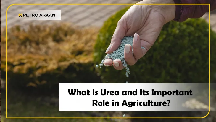 What is Urea and Its Important Role in Agriculture?