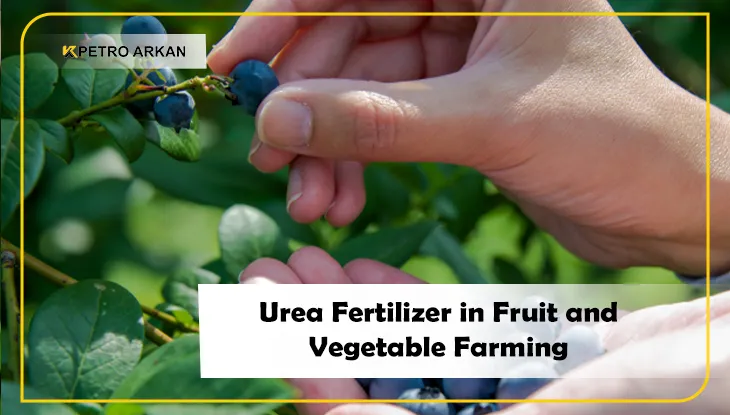 Increasing fruit yields with urea