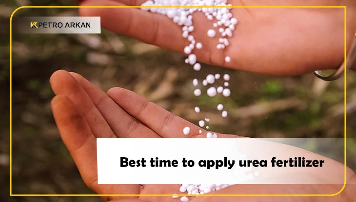 Best time to apply urea fertilizer
