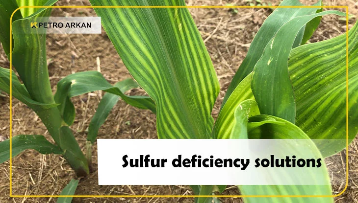 Sulfur deficiency solutions