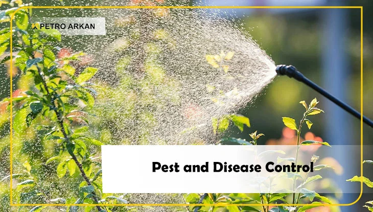 Pest and Disease Control