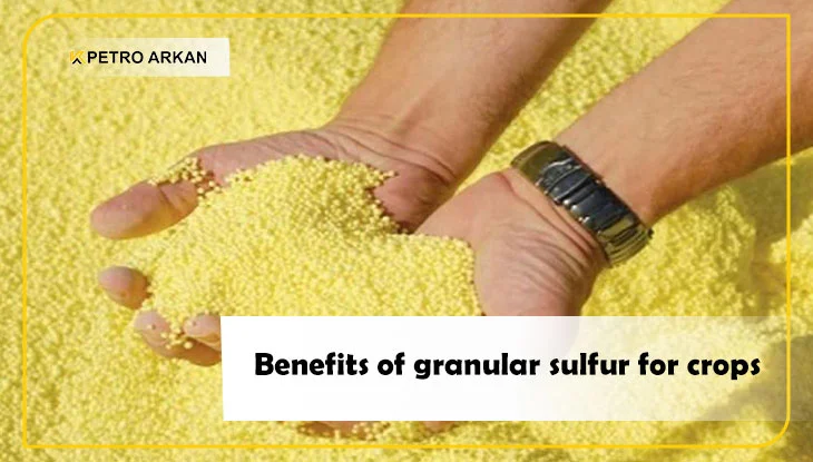 Benefits of granular sulfur for crops