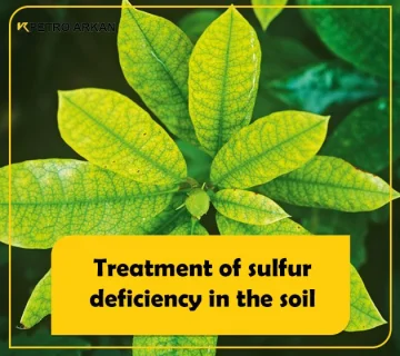 treatment of sulfur deficiency in the soil