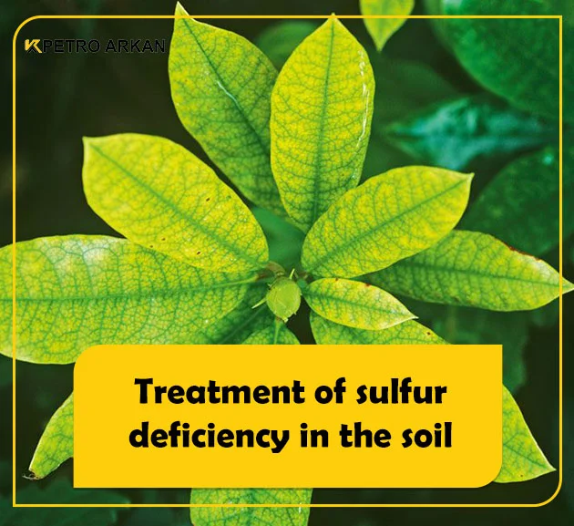 treatment of sulfur deficiency in the soil