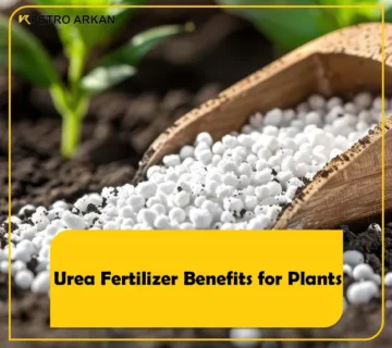 Urea fertilizer benefits for plants