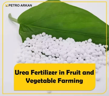 Urea fertilizer in the fruit and vegetable farming