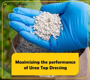 Maximizing the performance of Urea Top Dressing