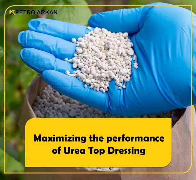 Maximizing the performance of Urea Top Dressing