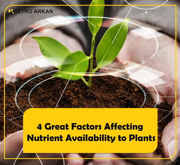 Factors affecting nutrient availability to plants