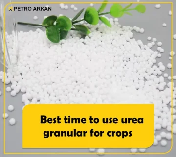 best time to use urea granular for crops