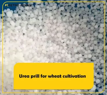 Urea prill for wheat cultivation