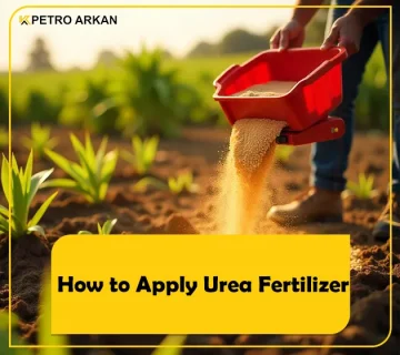 How to Apply Urea Fertilizer